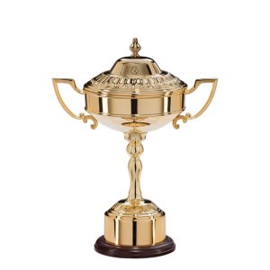 Image showing gold trophy cup on white background.