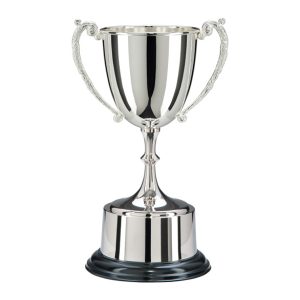 image showing a highgrove nickel plated trophy cup agaist white background.