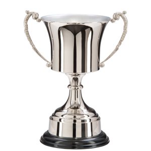 Image showing maplegrove trophy cup with