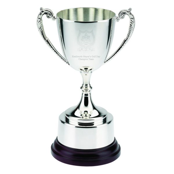 Image showing silver plated trophy cup with cup bowl example engraving.