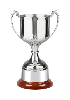 Image showing handchased trophy cup with leaf design against white background