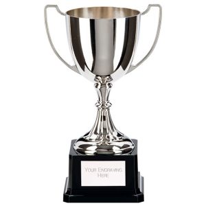 Image showing legend nickel plated cup against white background
