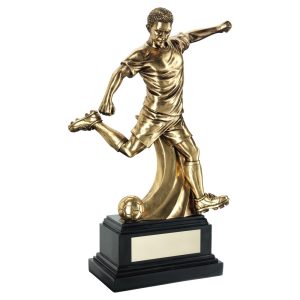 Image showing gold man kicking football resin trophy