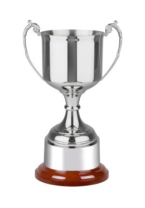 Image showing Windsor nickel plated trophy cup against white background