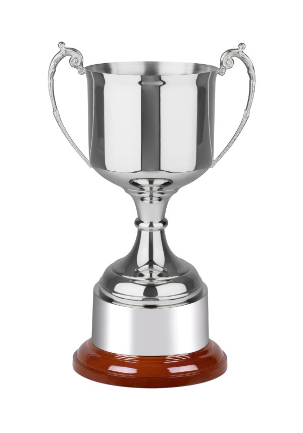 Image showing Windsor nickel plated trophy cup against white background