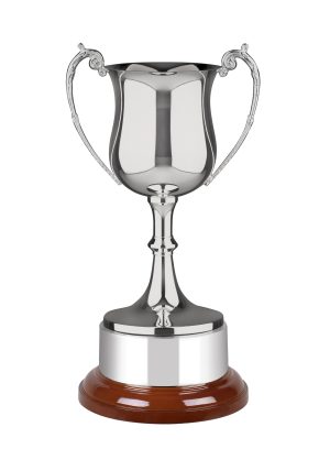 Image showing Swatkins Georgian trophy cup against white background