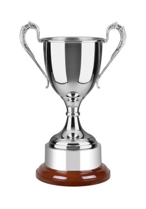 Image showing swatkins warwickshire trophy cup against white background
