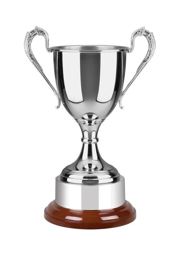 Image showing swatkins warwickshire trophy cup against white background