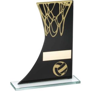 Image showing golden net netball glass against white background