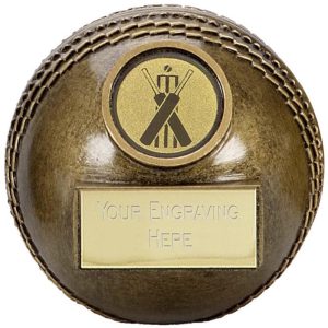 Image showing 3D round cricket trophy against white background
