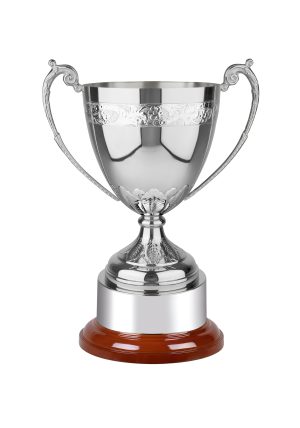 Image showing Buckingham hand chased trophy cup with floral leaf against white background