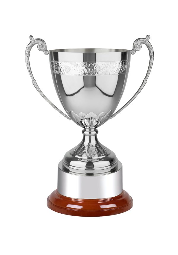 Image showing Buckingham hand chased trophy cup with floral leaf against white background