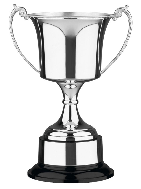 Image showing studio silver plated large trophy cup against white background